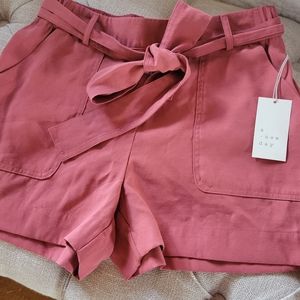 NWT Small High waist short with tie.